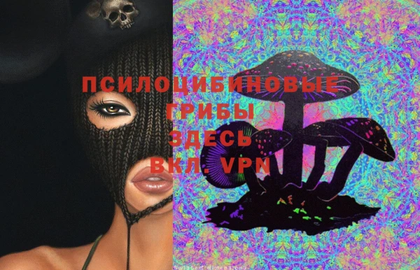 шишки Волосово