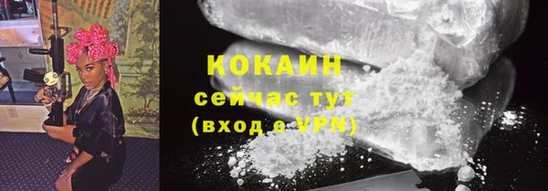 шишки Волосово