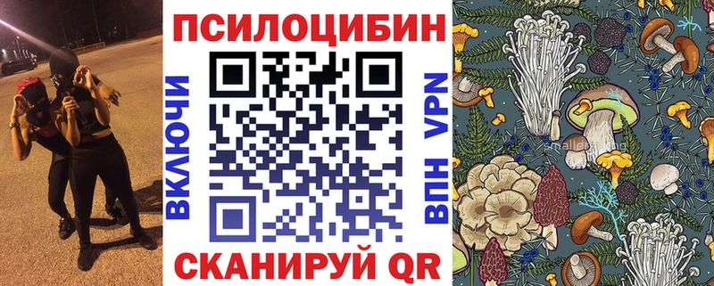 где купить наркоту  Злынка  Псилоцибиновые грибы мухоморы 