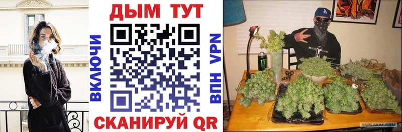 купить наркотик  Злынка  Марихуана VHQ 